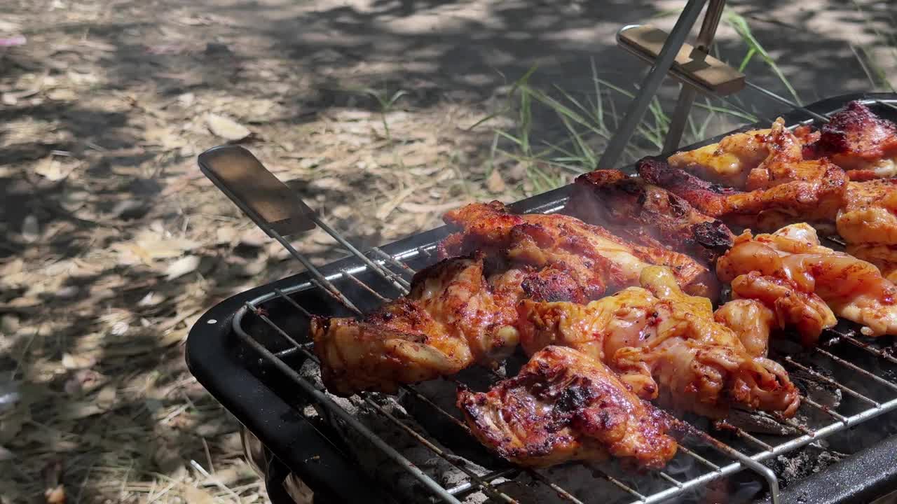 美味的鸡在烧烤煤火野餐视频素材