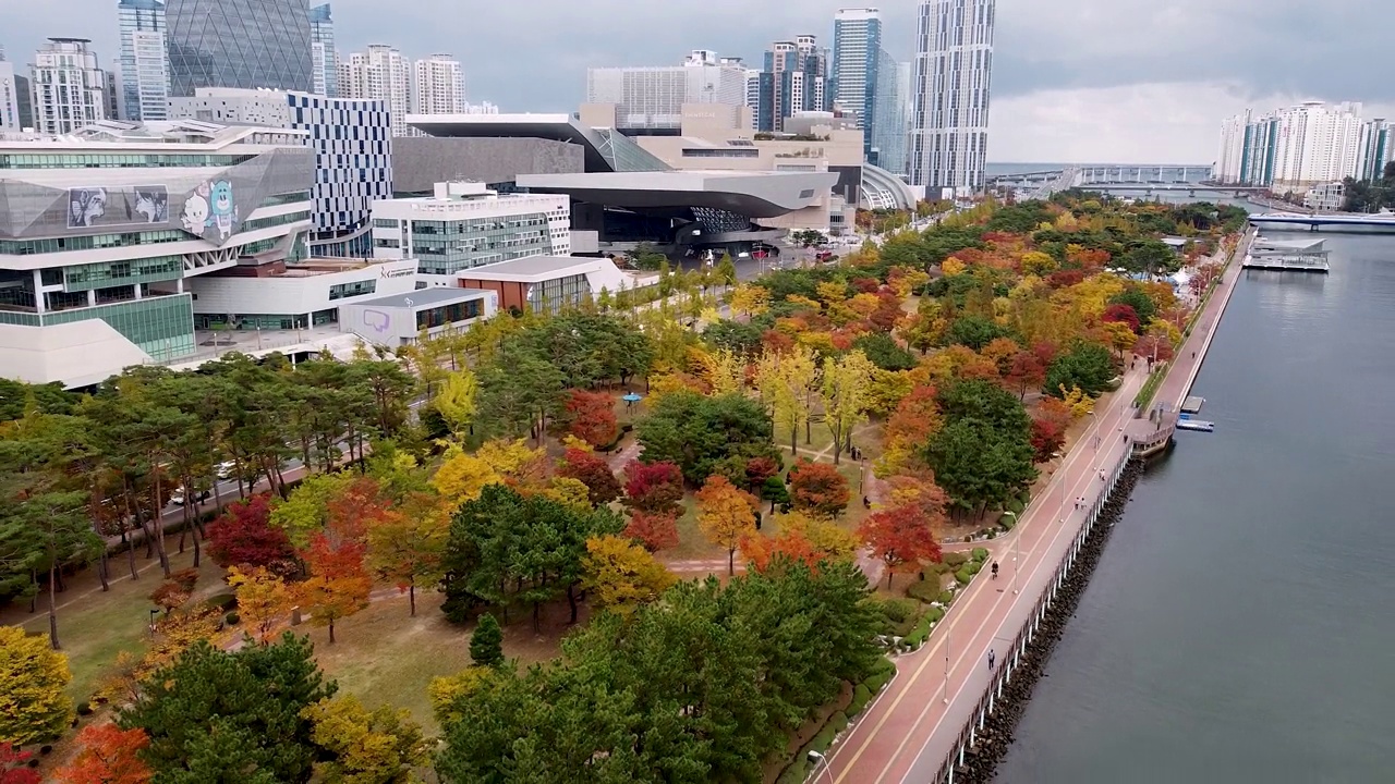 秋季Naru公园鸟瞰图，Centum City，釜山，韩国，亚洲视频素材