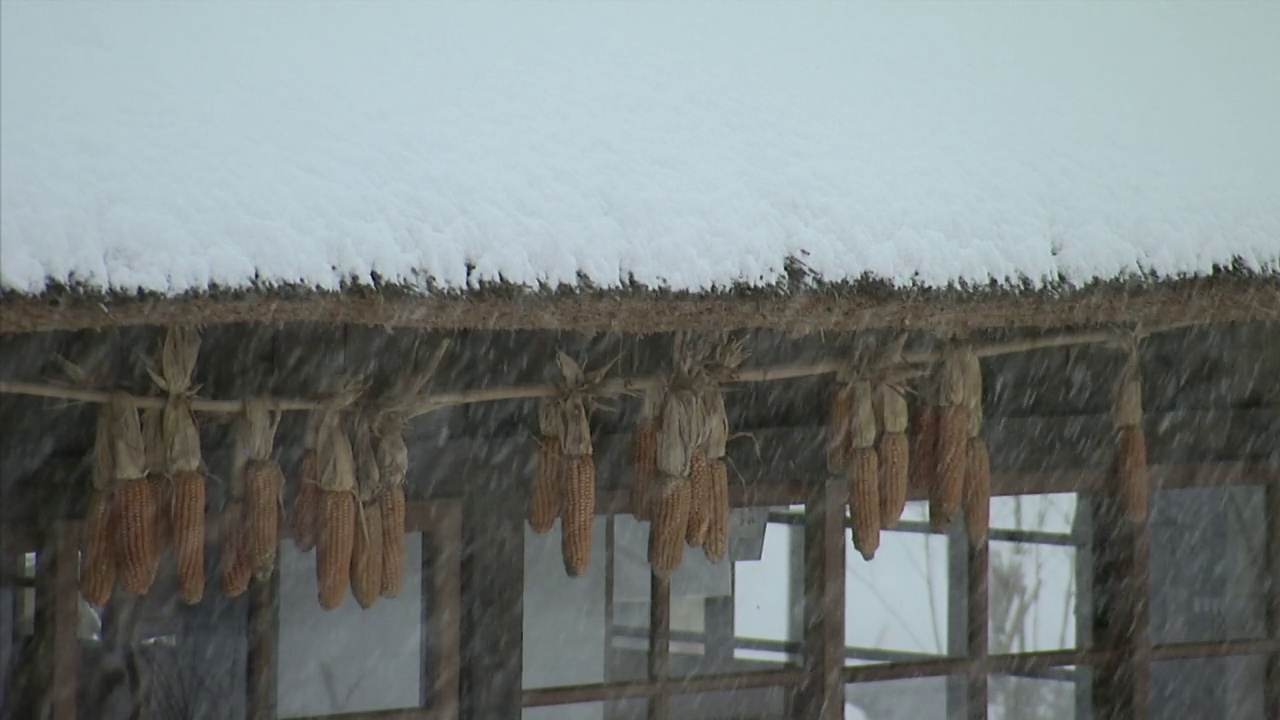 雪落在日本山梨县的一座老房子上视频素材