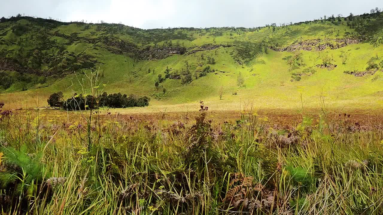 布罗莫山国家公园地区的绿色山丘景色视频下载