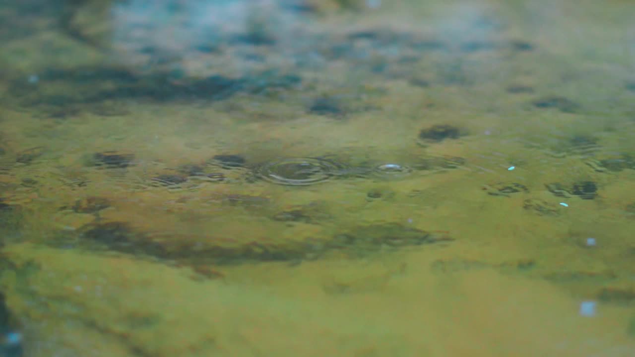 雨水落在水坑的水面上。自然背景。雨，落下的水滴和水坑的涟漪。多雨的天气视频素材