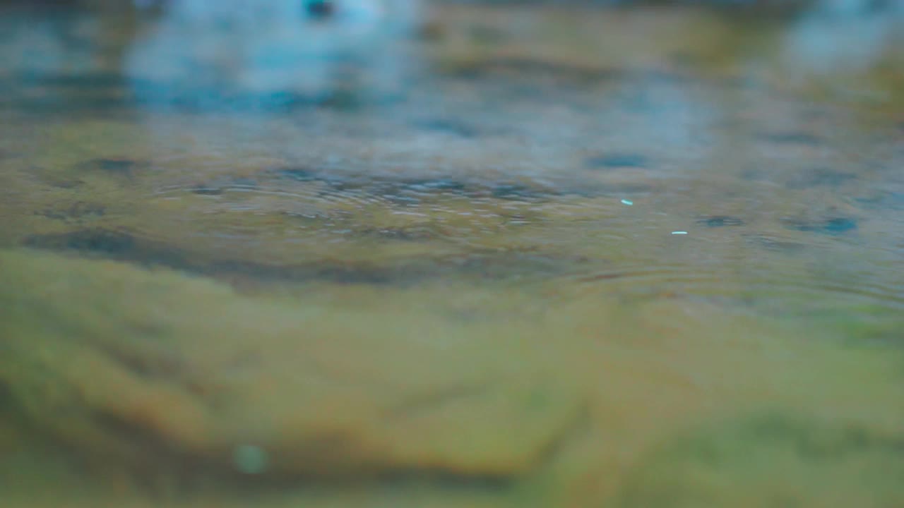 雨滴落在水坑里的特写镜头。自然背景。雨，落下的水滴和水坑的涟漪。多雨的天气视频素材