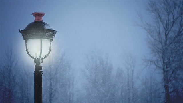 雪夜路灯视频素材