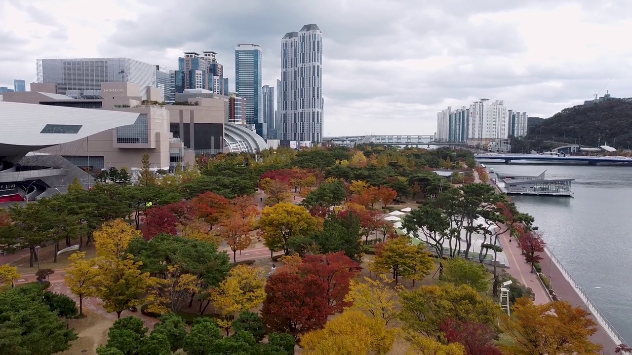 鸟瞰秋季Naru公园，Centum City，海云台，釜山，韩国，亚洲视频下载