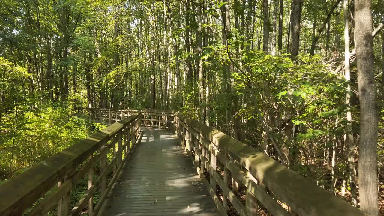 穿过野生动物保护区视频素材