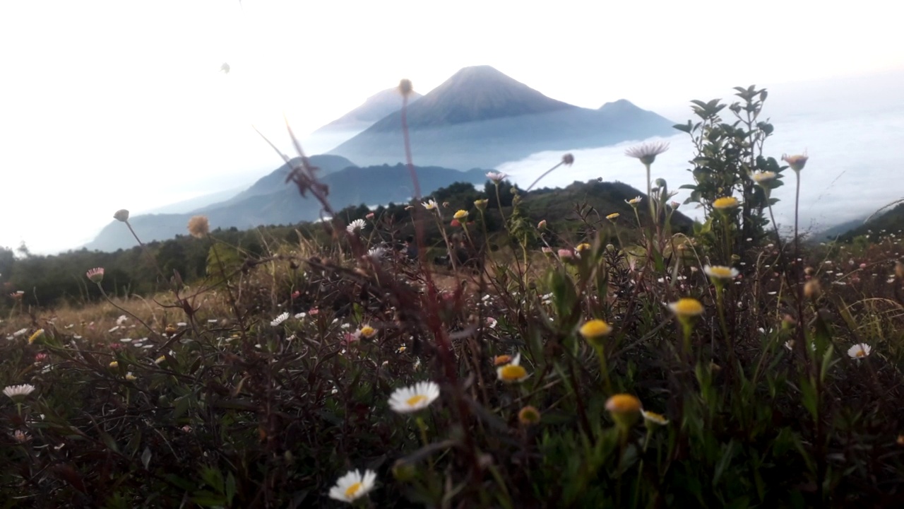 令人惊叹的印尼普拉山视频素材