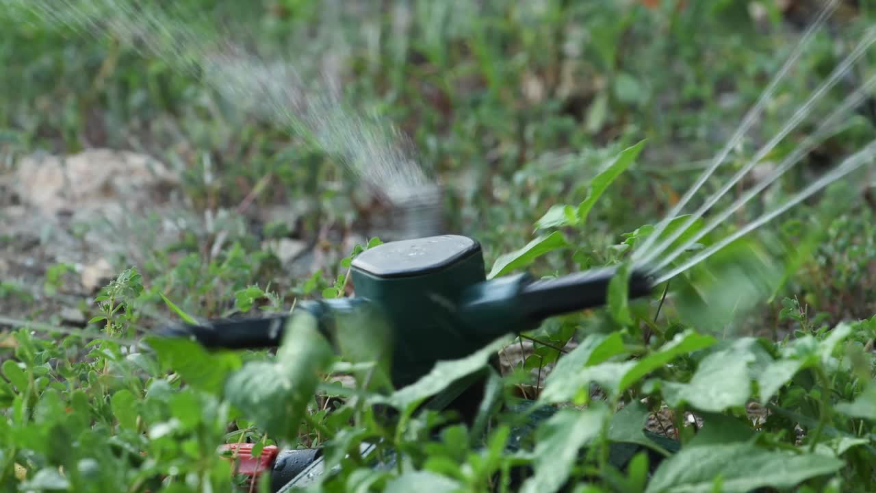 夏日夕阳下的后院花园洒水器视频素材