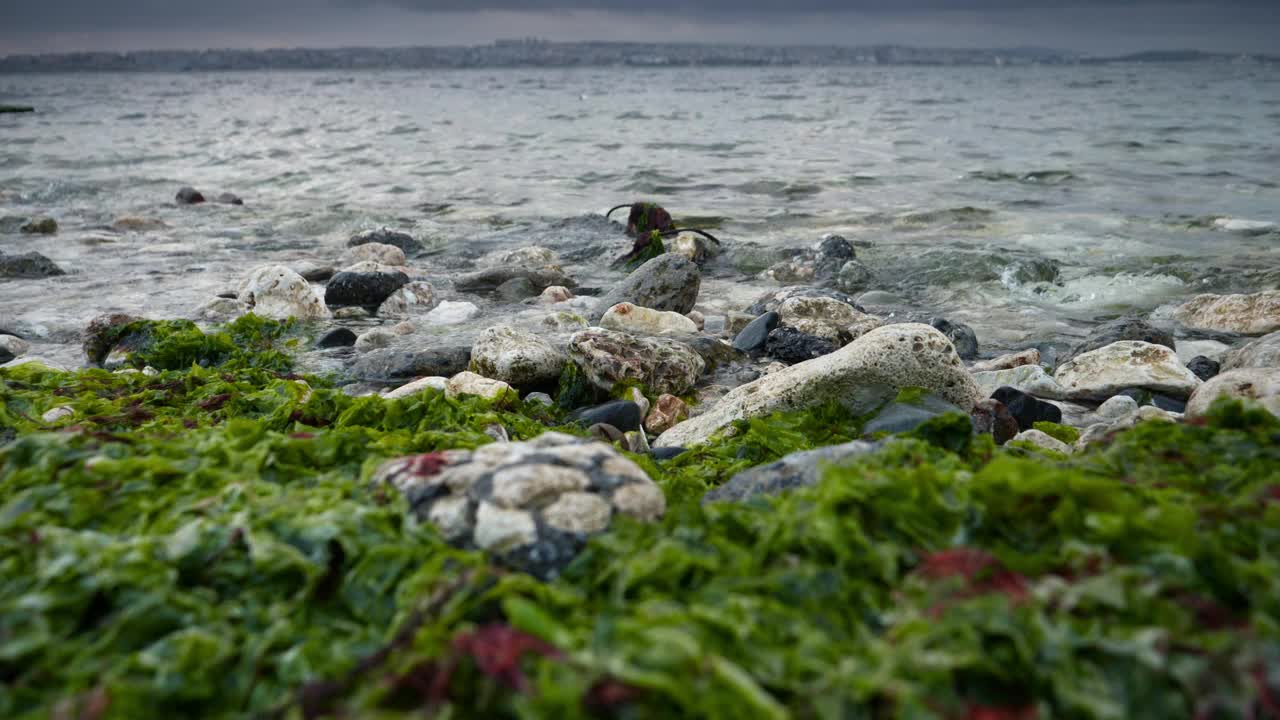 海浪在悬崖和长满海藻和藻类的石头上的岩石海滩上翻滚的慢动作。美丽的风景，自然背景，海洋背景视频素材