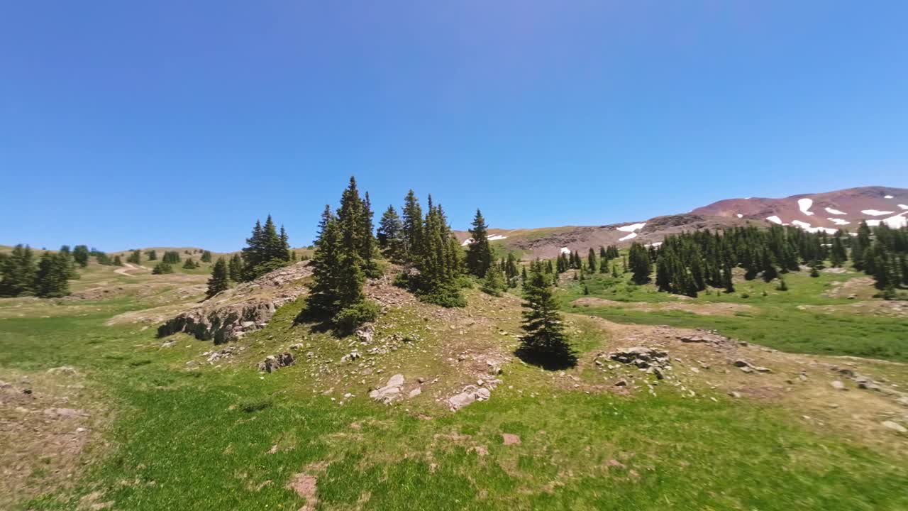 放大鸟瞰图(FPV)在高山草甸视频素材