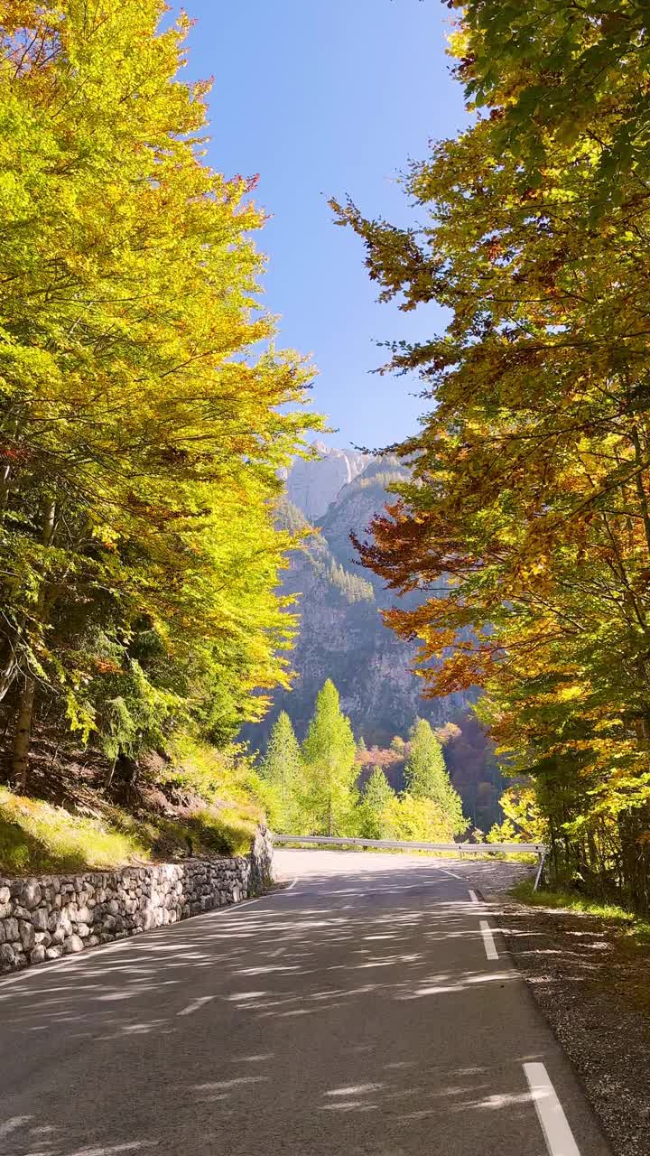 行驶在山路上，四周是生机勃勃的秋景视频素材