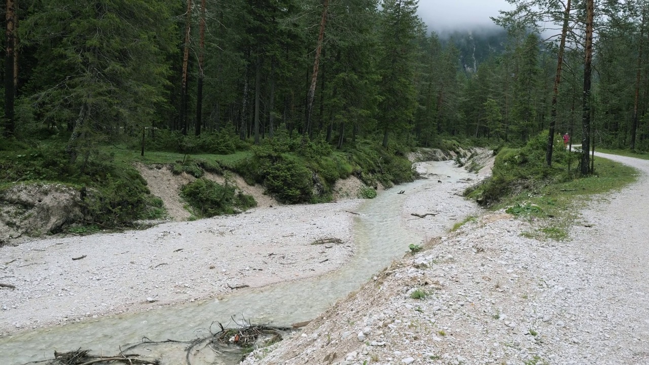 沉浸在意大利阿尔皮山自然公园森林中的山间小道上的水道视频素材