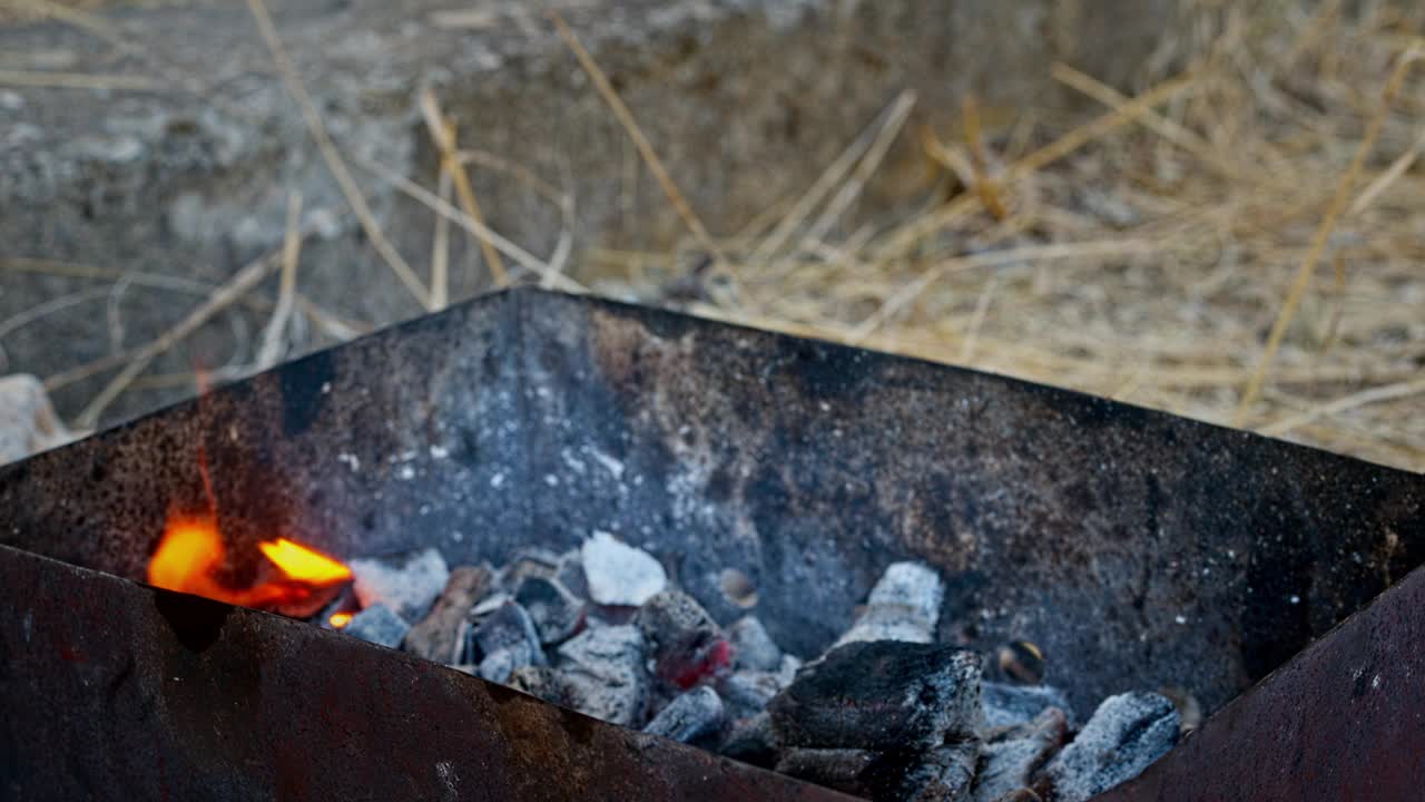 烤肉，特写镜头。视频素材