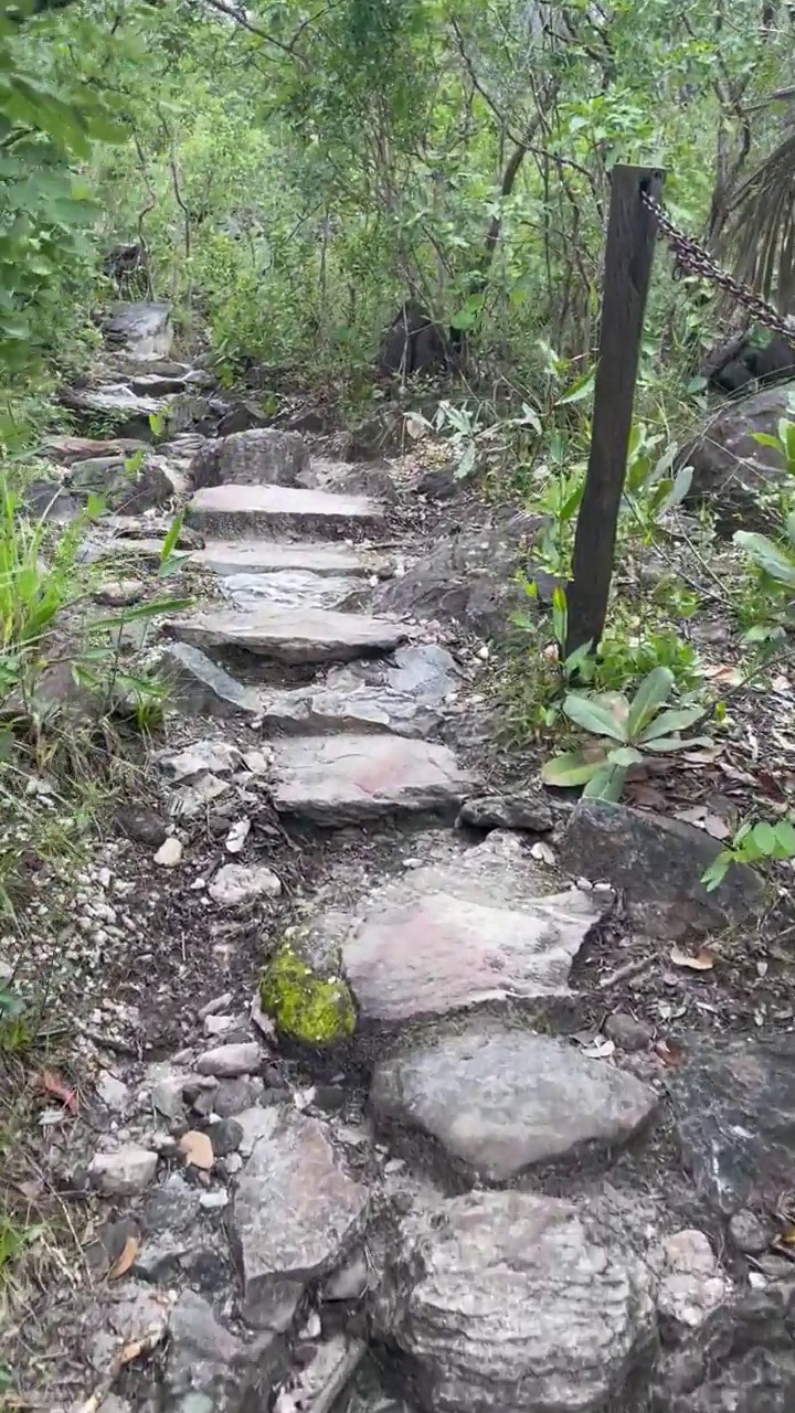 在塞拉多小径徒步旅行视频素材