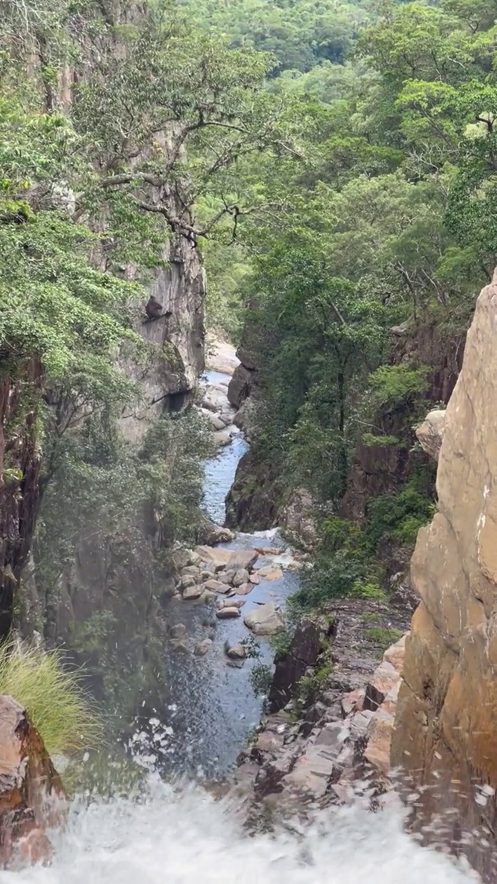 塞拉多森林的大峡谷视频素材