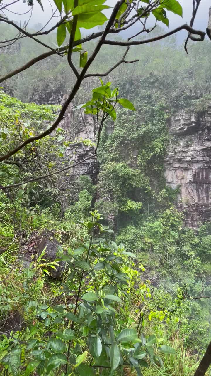 塞拉多森林的大峡谷视频素材