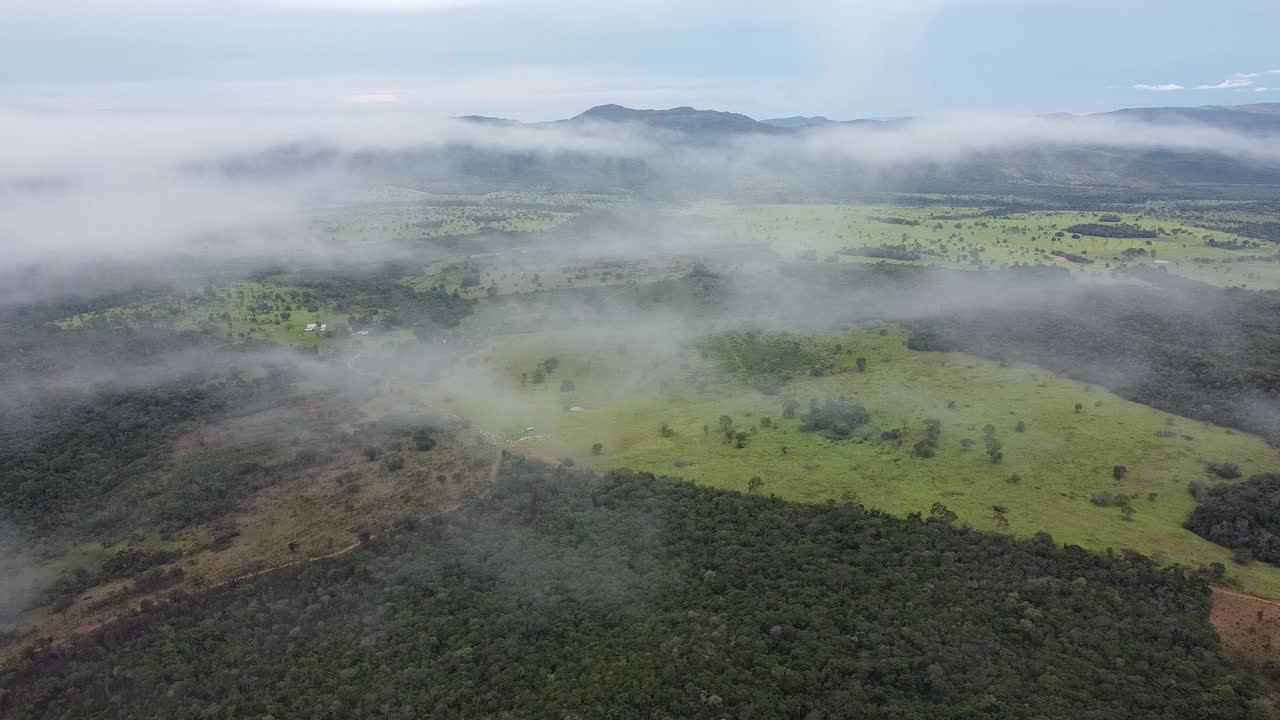 塞拉多高地视频素材