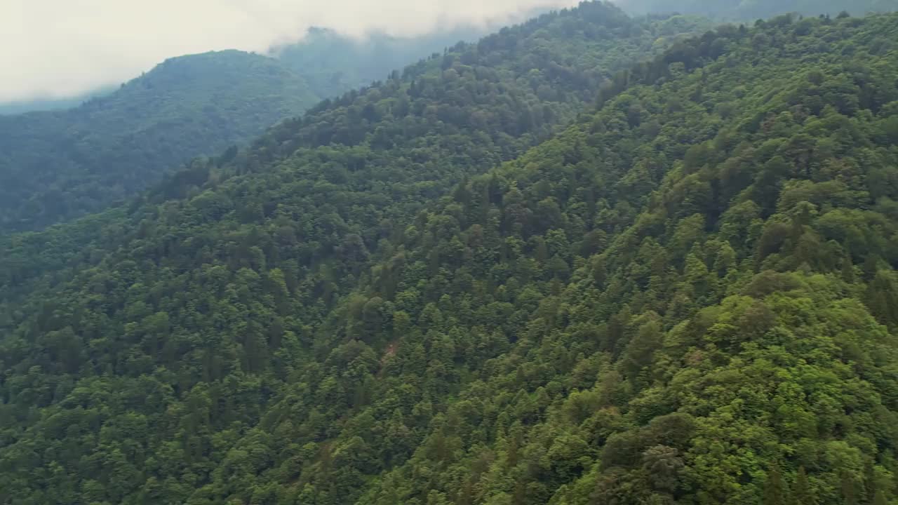 从空中俯瞰一条河流流经森林覆盖的山脉。一架无人驾驶飞机从山上飞过。Camlihemsin, Rize，土耳其视频下载