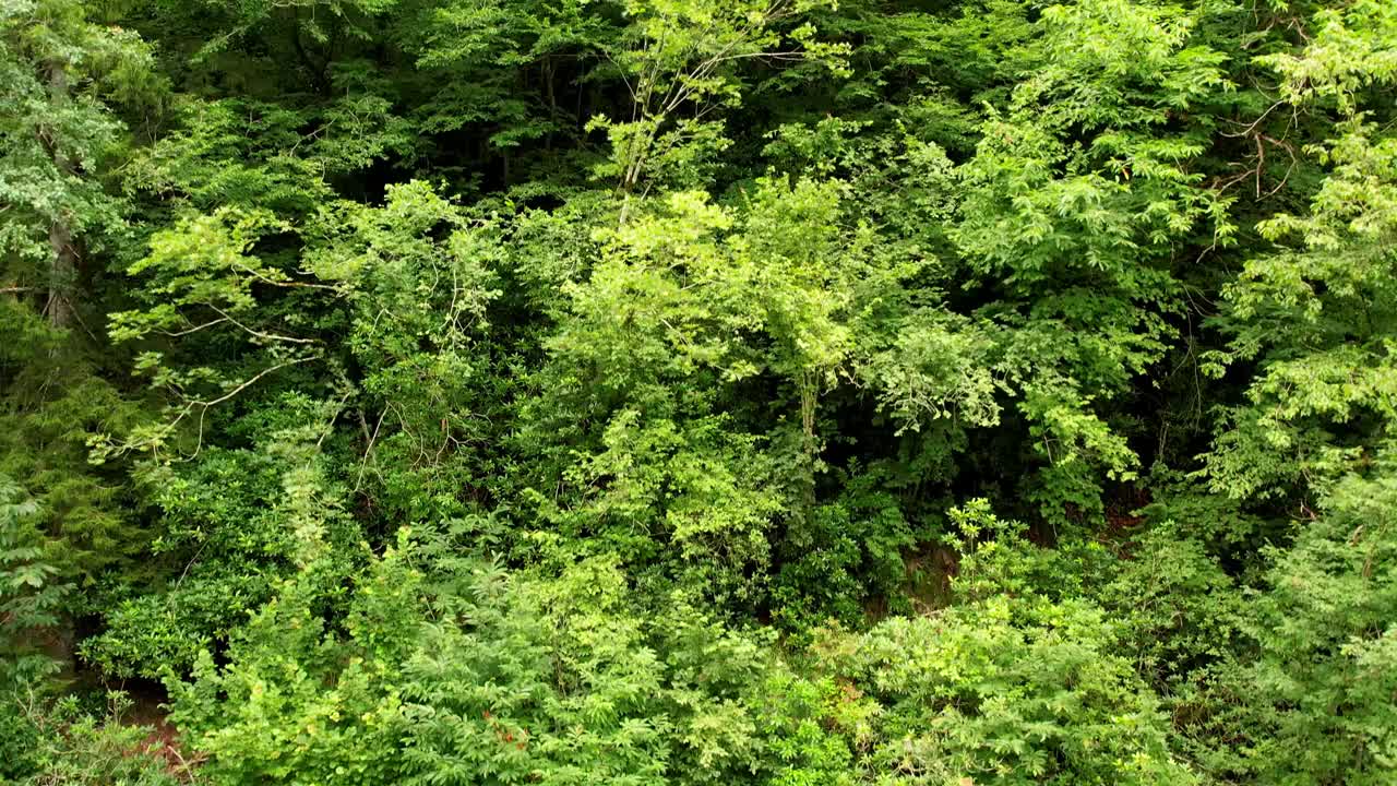 一条河流在里泽的山脉和空中拍摄之间流动视频素材