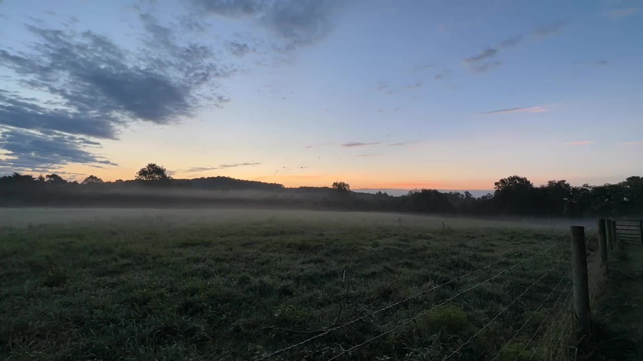 一个戏剧性的日出和牛在一个宁静的牧场的时间流逝。美丽的Cloudscape。雾在上升。美丽风景中的铁丝网栅栏。视频下载