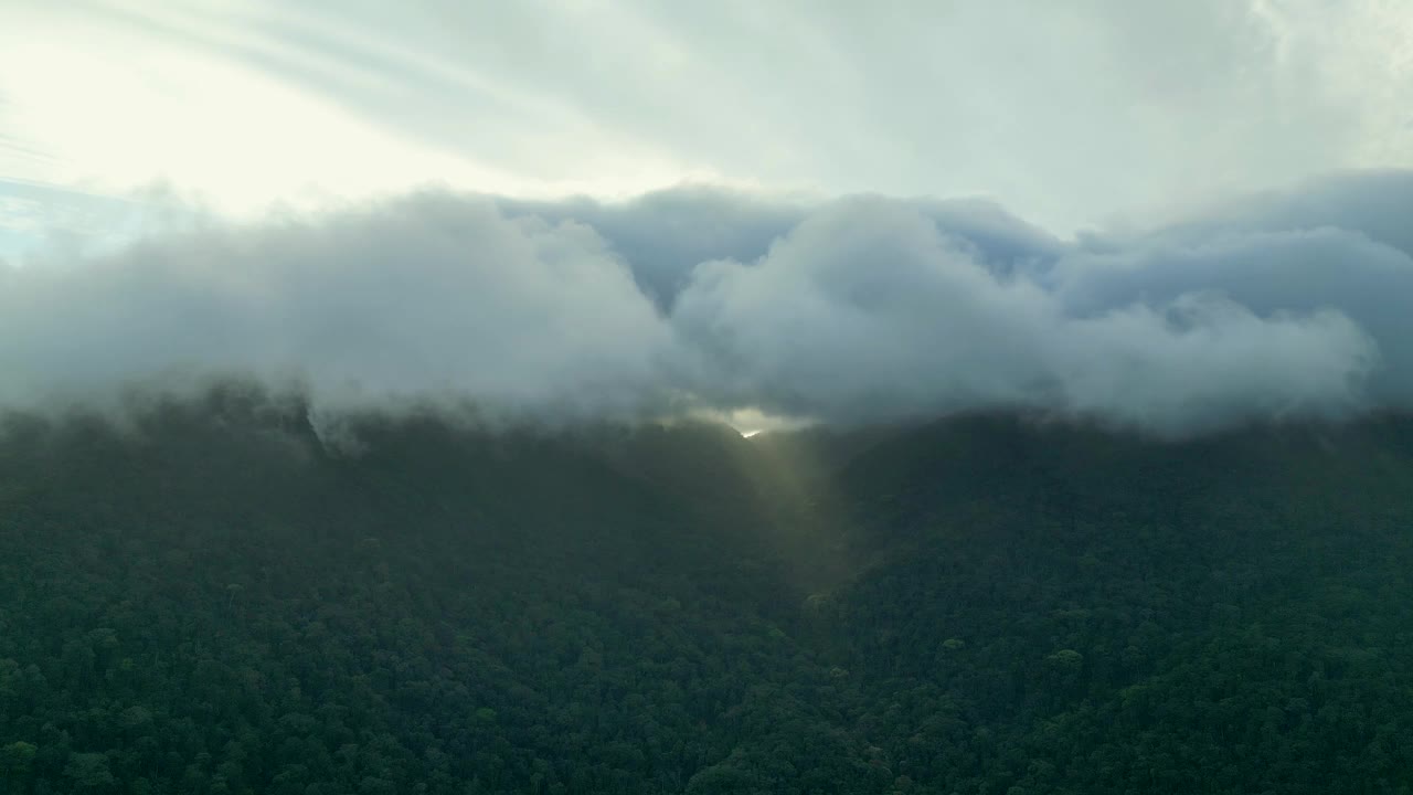 鸟瞰大雾笼罩山间，伴着阳光视频素材