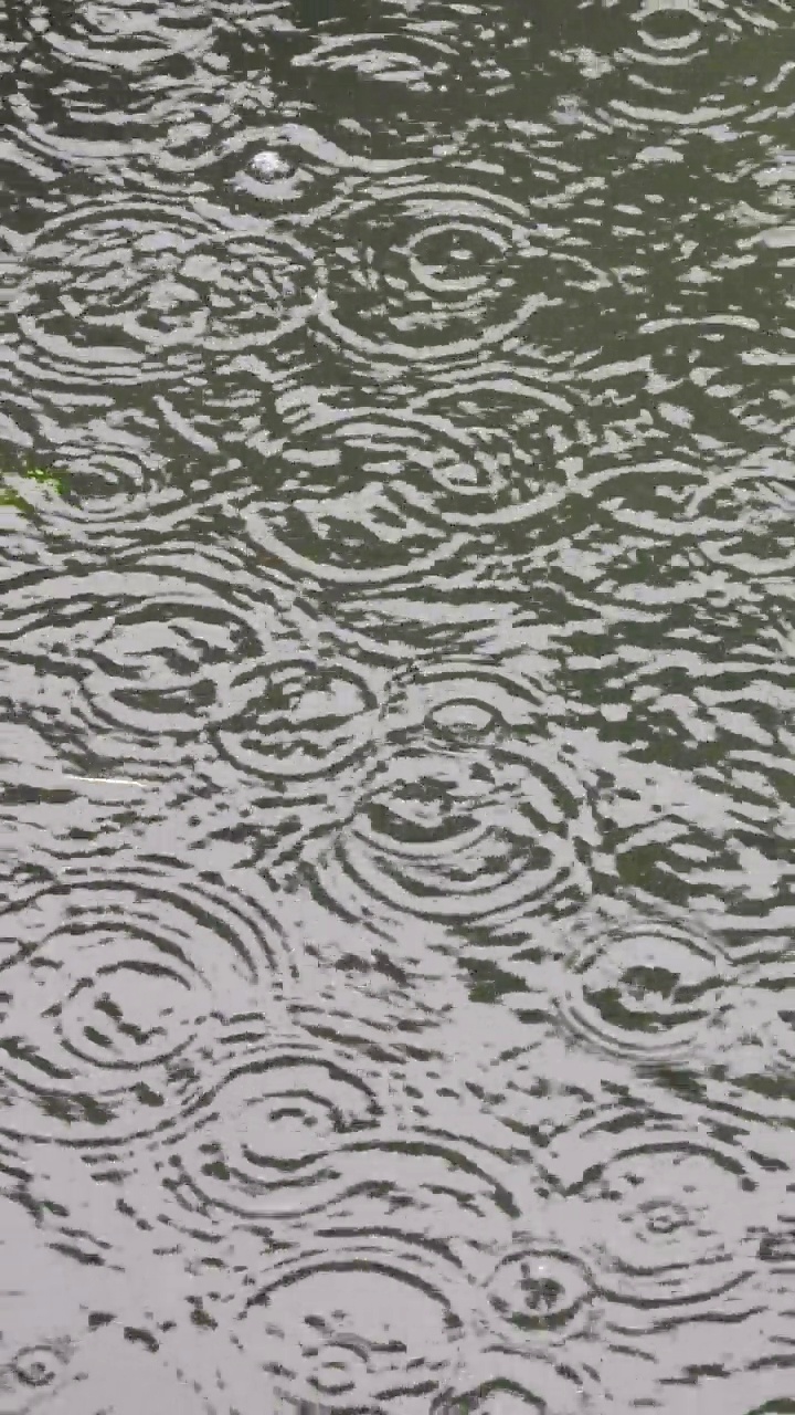 雨滴在水面上与气泡纹理抽象波纹图案4k镜头与声音视频下载