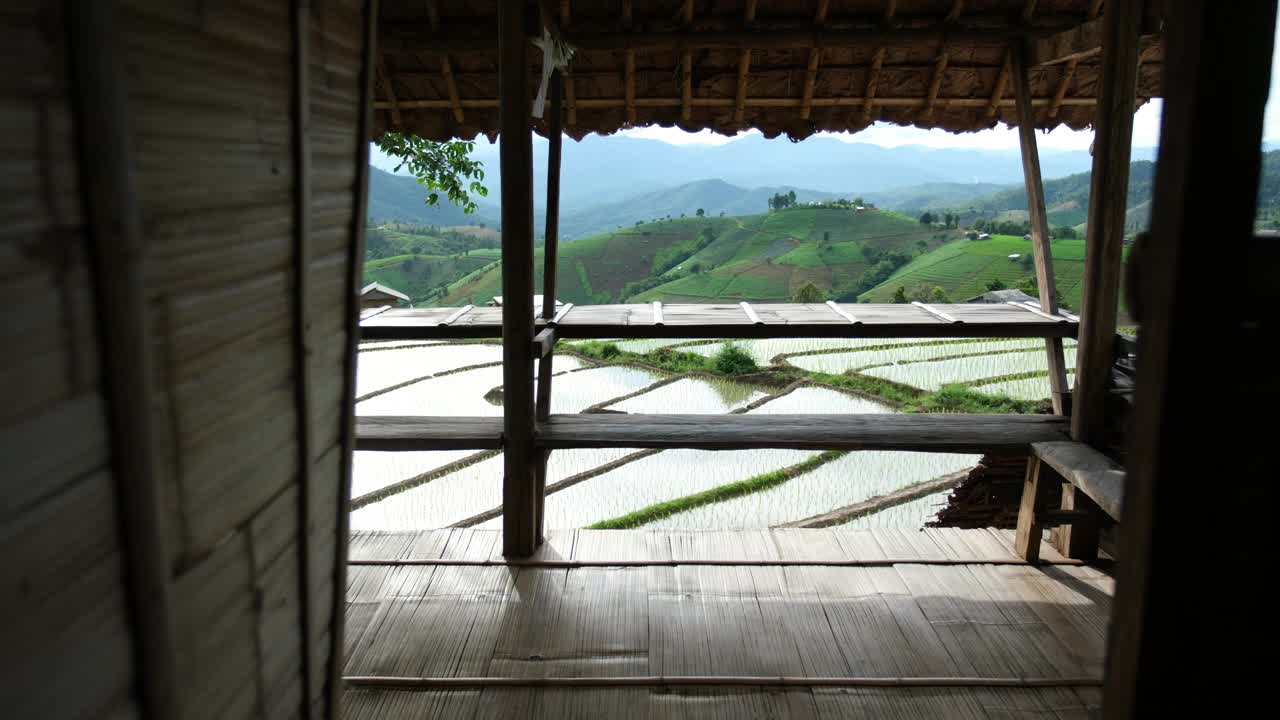 绿色的水稻梯田和木屋外的山景视频素材