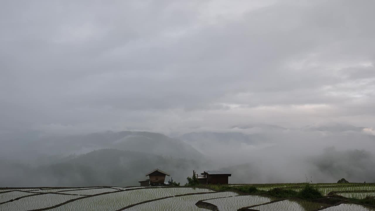 泰国北部雾天的绿色梯田和山脉视频素材