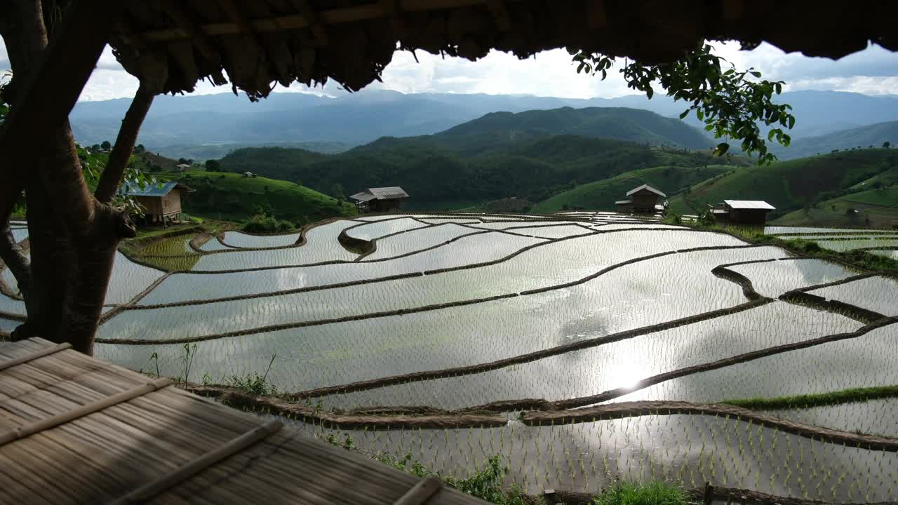 绿色的水稻梯田和木屋外的山景视频素材