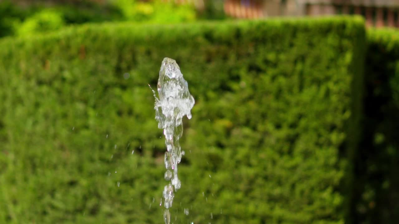 喷泉喷出的水柱在绿色树篱的背景下跳动视频素材