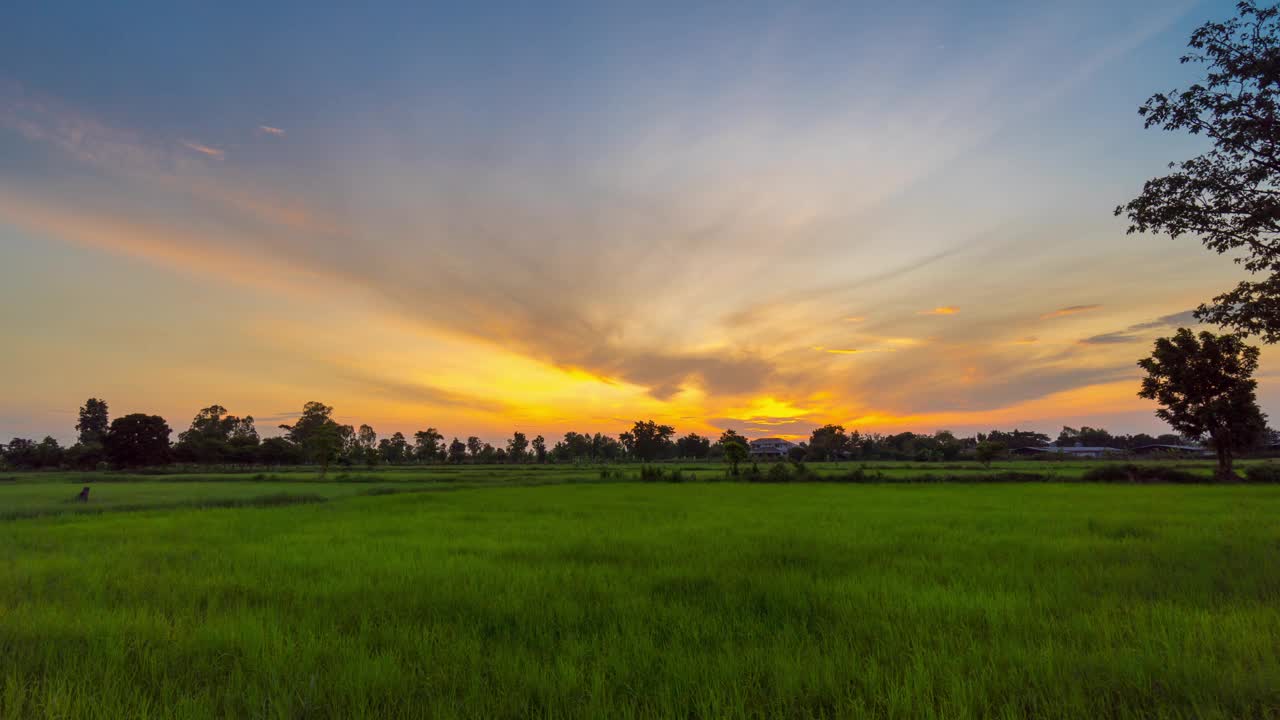 泰国乡村的稻田和日出的自然景象，4K延时摄影。视频素材