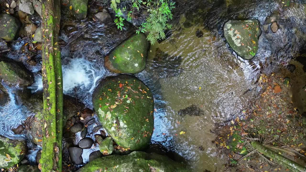 穿过热带森林，看到岩石和瀑布视频素材