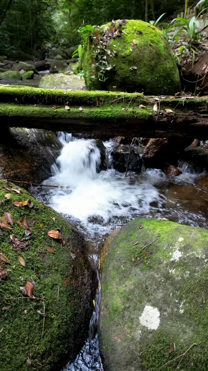 穿过热带森林，看到岩石和瀑布视频素材