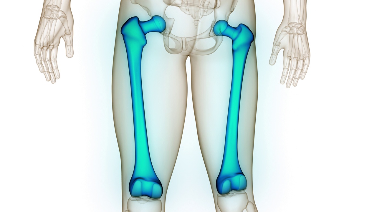 人体骨骼系统大腿骨关节解剖动画概念视频素材