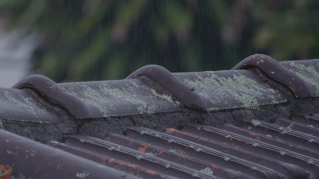 雨中的屋顶视频下载