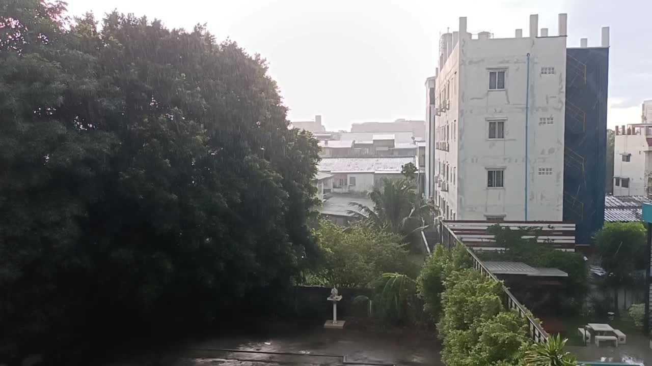 下雨刮风视频下载