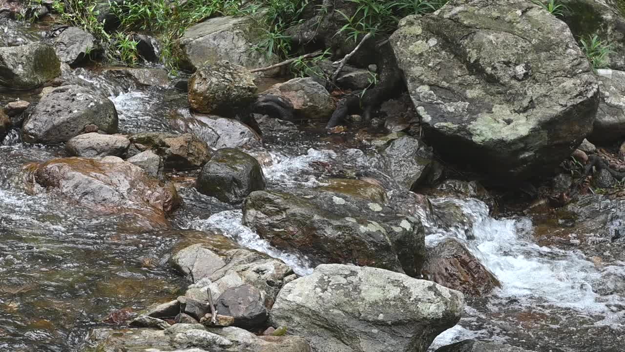 山涧间的岩石在峡谷中流淌，湍急的水流沸腾而起泡沫视频下载