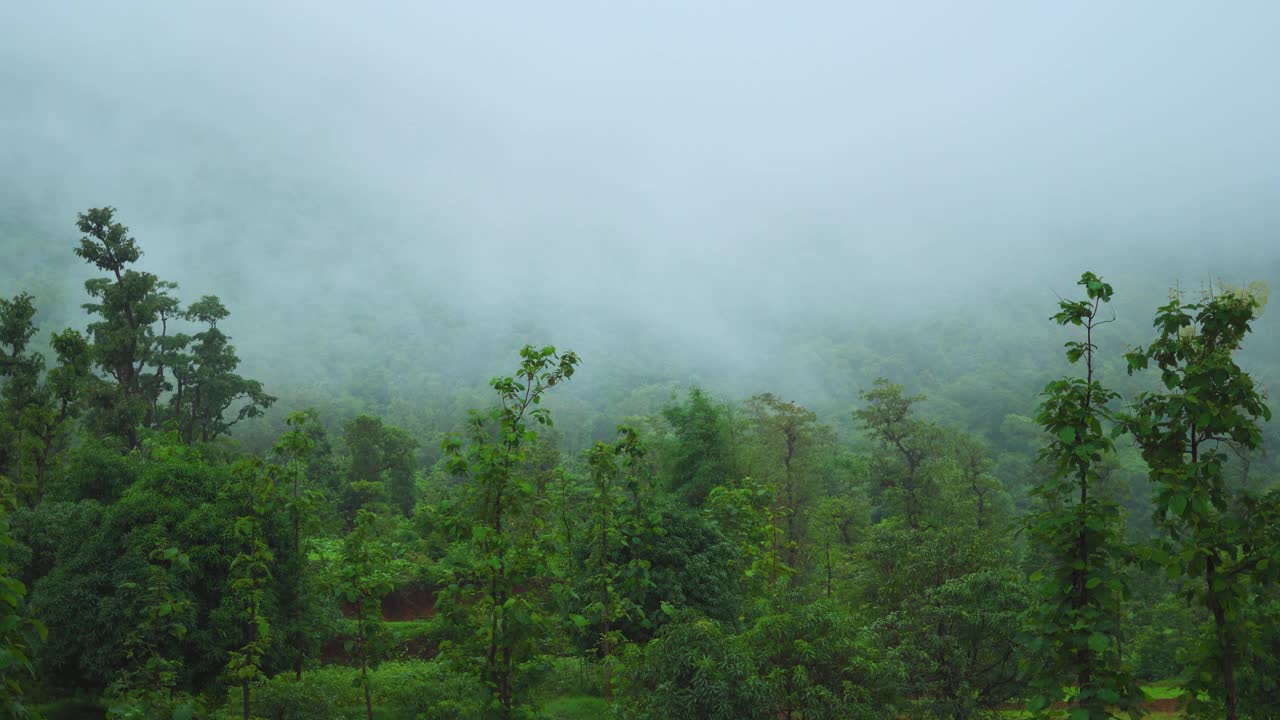 这是印度古吉拉特邦萨哈德里山脉山边郁郁葱葱的绿色森林后面的4K云图。印度季风季节，西部高止山脉山上的绿树。视频素材