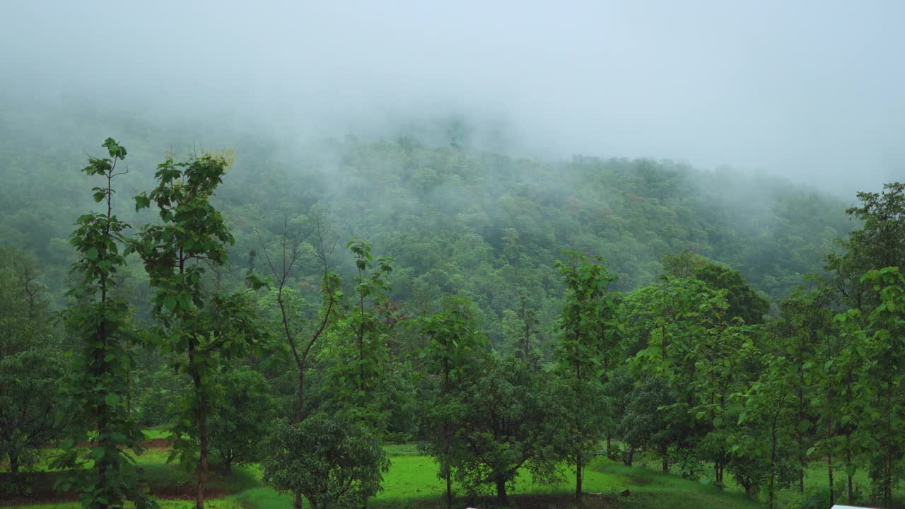 在印度古吉拉特邦的Saputara山站，4K拍摄的云在山上移动。在季风季节，云在郁郁葱葱的萨亚德里山上移动。雨季山上的云。视频素材