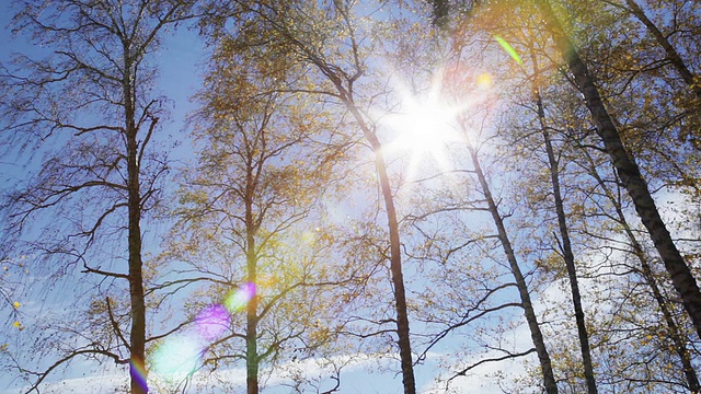 太阳视频素材