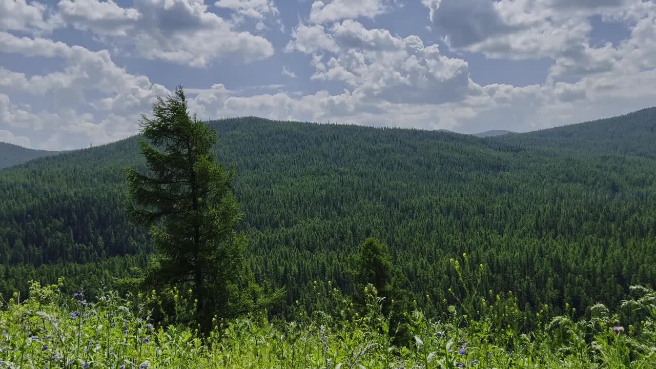 汽车行驶在山路上，景色壮丽。开车旅行。美丽的大自然。视频素材