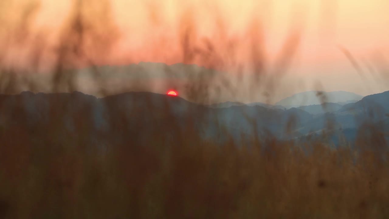 夏日的夕阳在山后和草丛中勾勒出剪影。视频素材