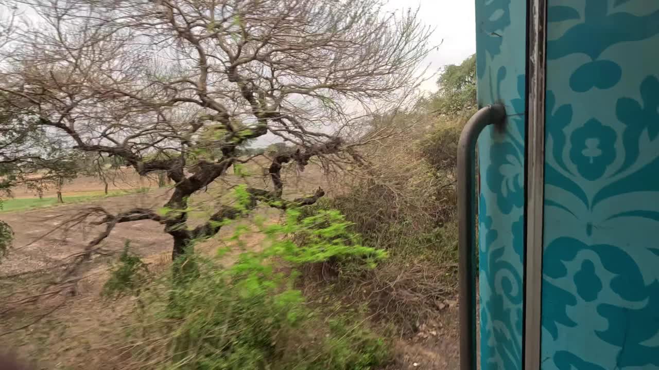 长路线火车公路旅行的近距离镜头与一个美丽的风景侧门。自然绿地和森林。在印度坐火车旅行视频下载