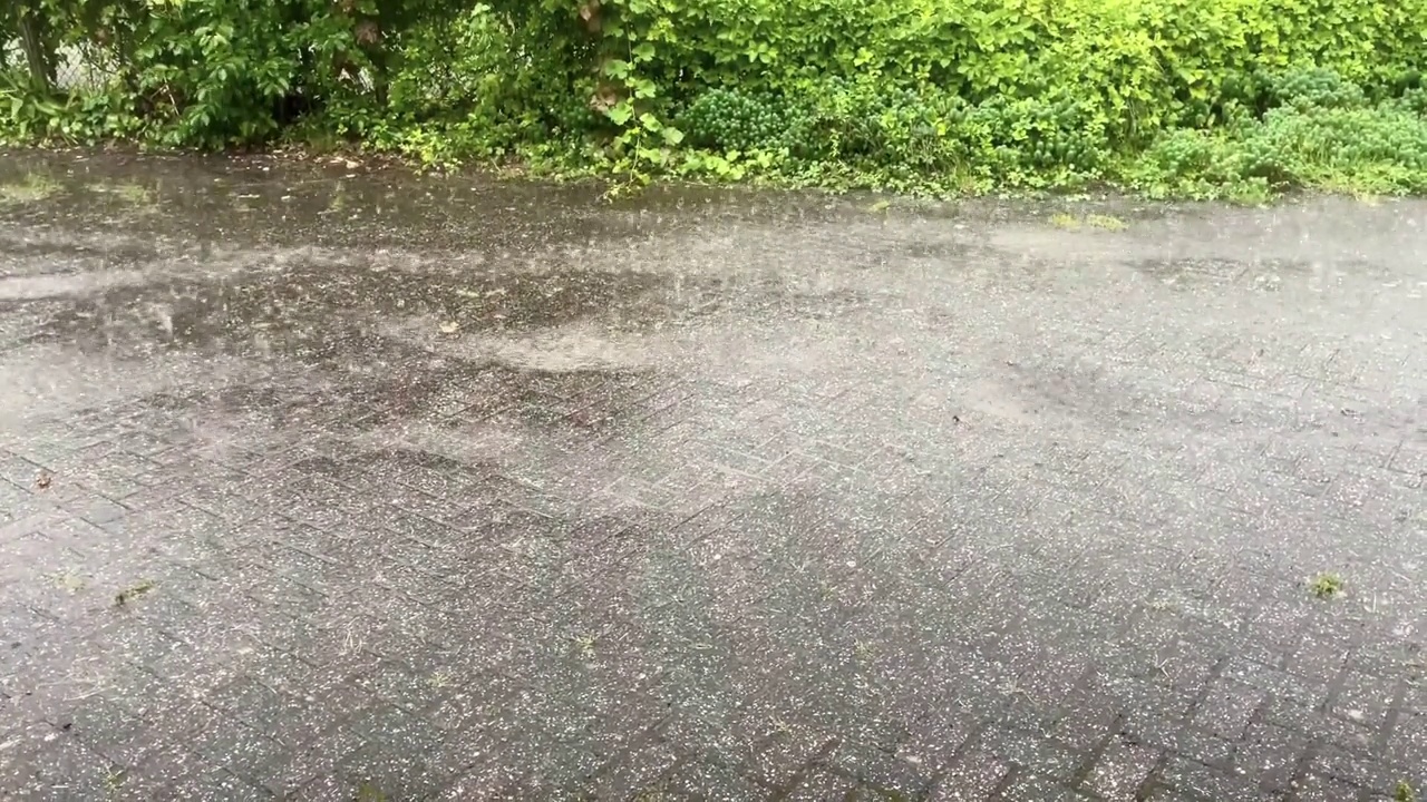 倾盆大雨视频下载