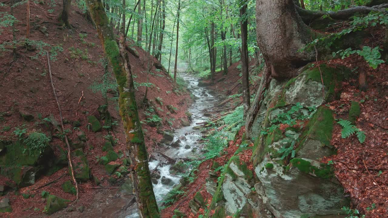 长途飞行，飞越风景秀丽的山峡和水流视频下载