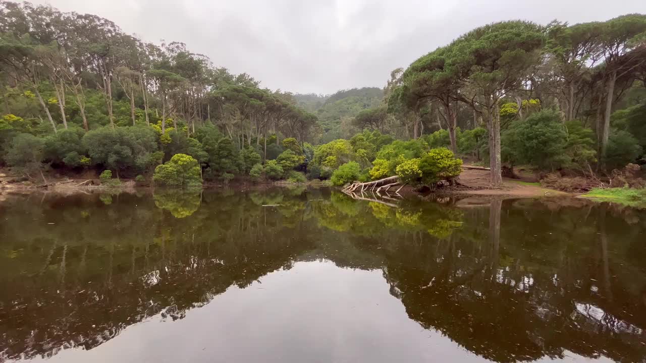 湖泊被树木环绕，背景是一座山视频素材