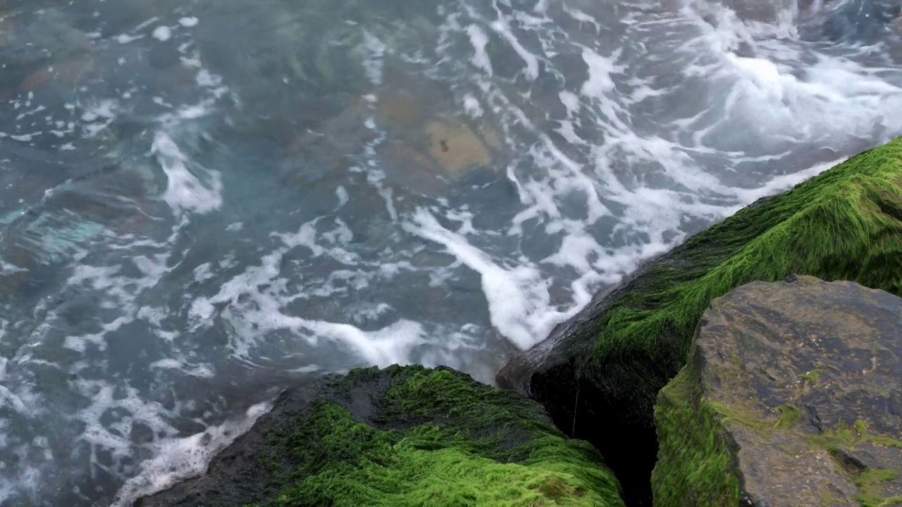 海中浊水在浅水，浪中发现石头上有绿苔的水藻视频素材