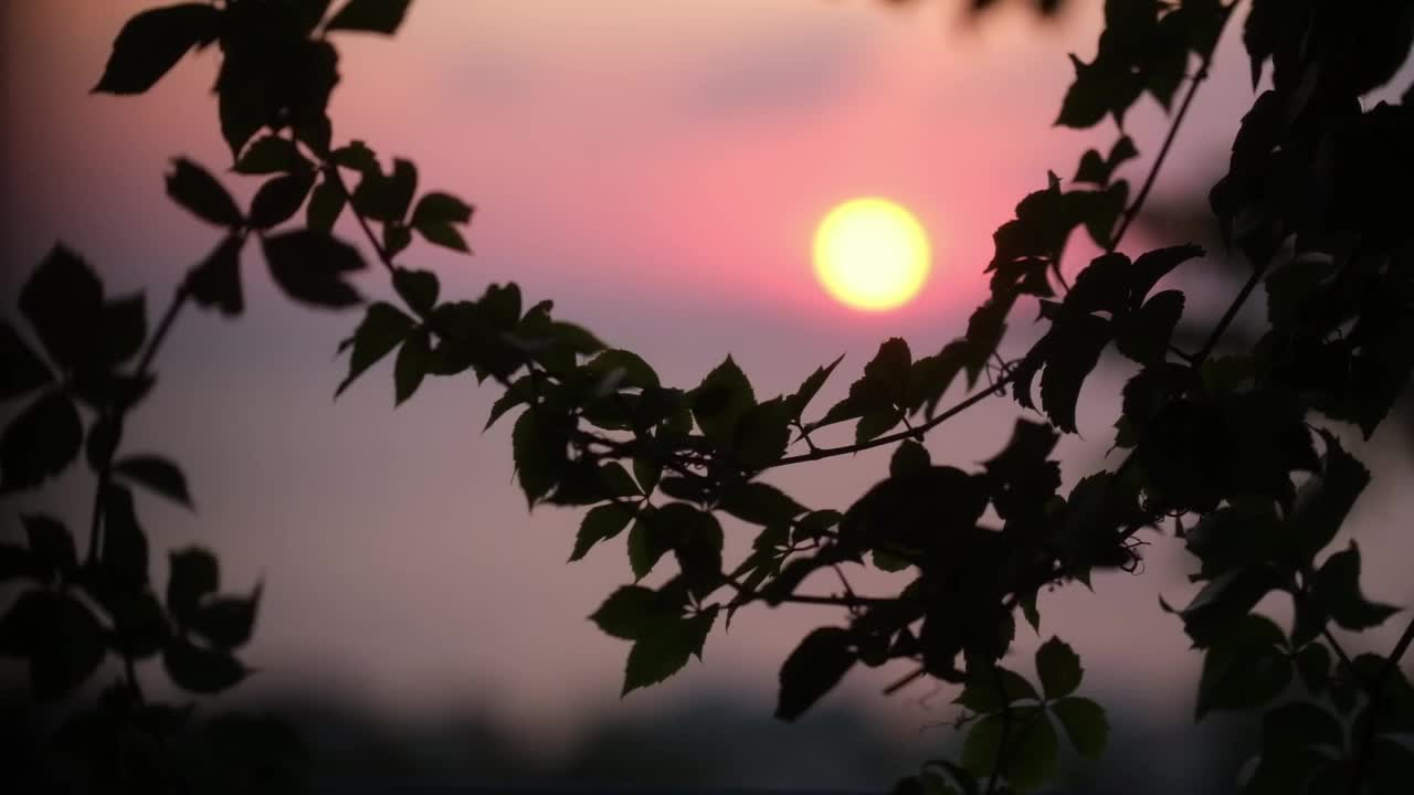 爱琴海上的日出。视频下载