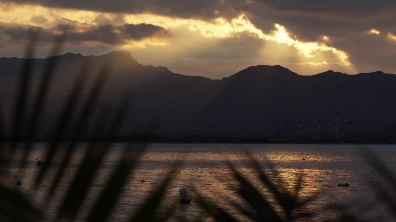 夕阳透过棕榈叶俯瞰群山视频素材