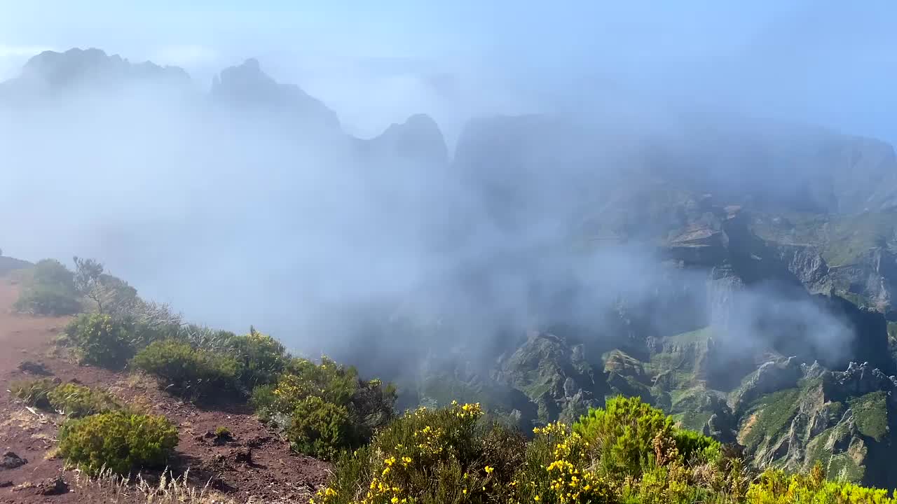 从马德拉群岛的最高峰，Pico Ruivo，在云与前景的花朵，葡萄牙的壮丽景色视频素材