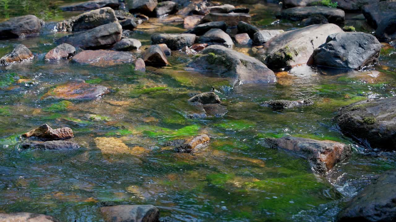 山涧特写。视频素材